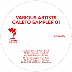 PREMIERE: Steve Hammer - Small City [Caleto Records]