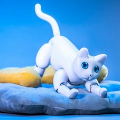 TECHNO FELINE