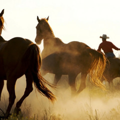 Tejano/Country