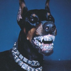 Mutt (Remix) (Big Dawg Talk)