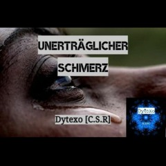 Unerträglicher Schmerz [C.S.R]