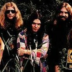 Lynyrd Skynyrd Cover Double Trouble