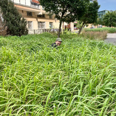 klmn – DJ Plastik 17.03.26