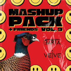 BARTA, VEIVE & Friends Mashup Pack Vol. 9