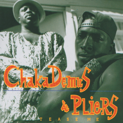 chaka demus and pliers bam bam remix chaka demus and pliers bam bam remix