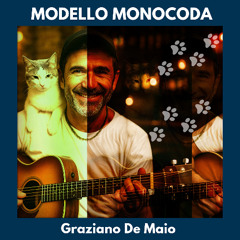 Modello Monocoda