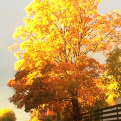 Semesteroppgave arrkomp