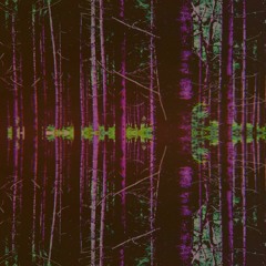 Der Kinderfänger (Re-shade VIP)