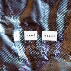 I Need Peace *Reimagined* (Prod. Gabe Pent x Noble)