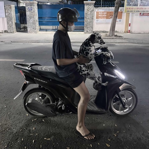 VIETMIX 2025-Hạnh Phúc Anh Chẳng Thể Cho Em Vậy Nên Remix Tiktok - Thà Quên Đi Remix Ver Hot TikTok