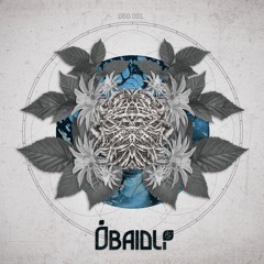 OBD001 - Zohki/ Bídlee - Down The Road (Obaidlí  Records )
