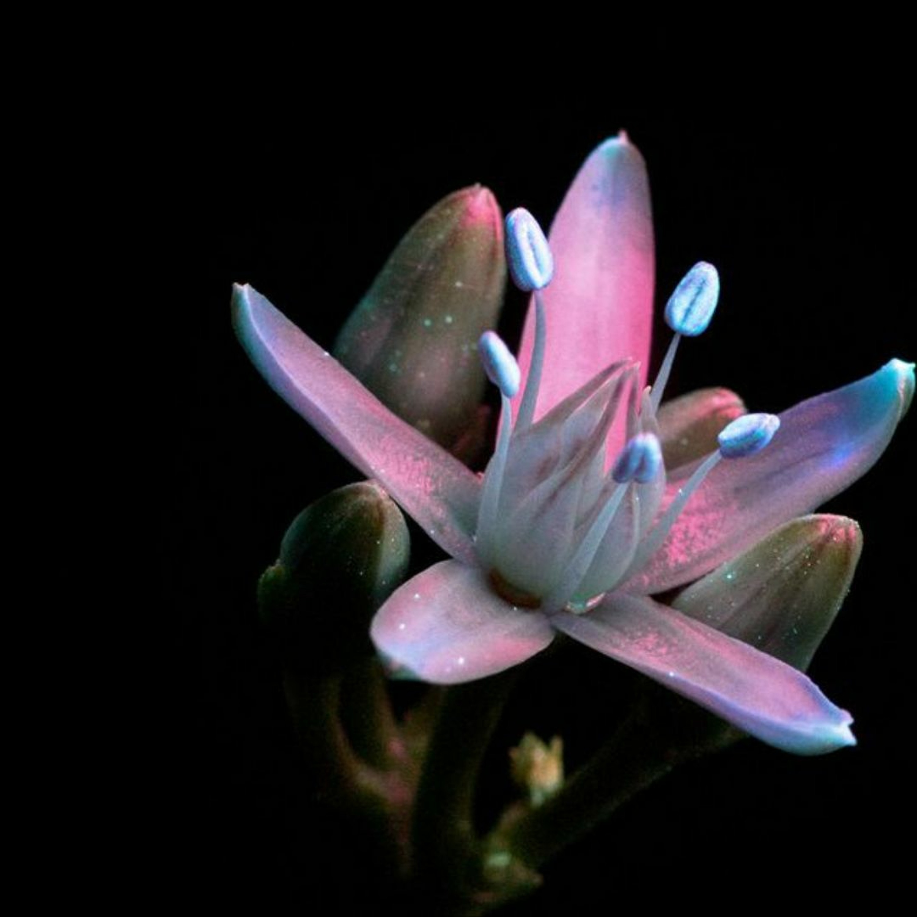 cover of episode A Meditation 15 May 22