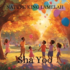 NKL x CP WAYNE x XAINE - SHA YOO.mp3