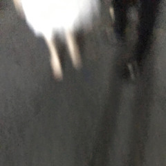 pro(m)blem (produced by KADO)