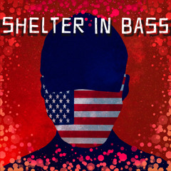 SHELTER IN BASS