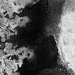 vibes and trends--------