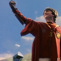 Harry Potter Wins His First Quidditch Match