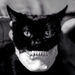 hardcore lepibrale.mp3