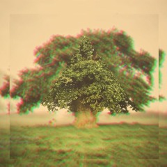 Druids