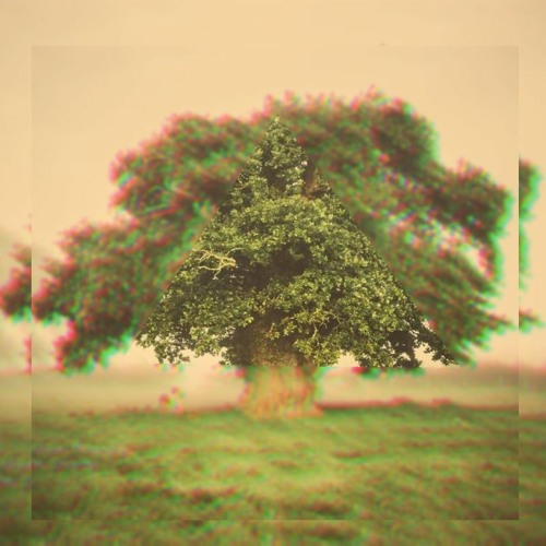 Druids