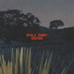 GRZYBO - MYSLI ZAMET (PROD. LXST GHXUL)