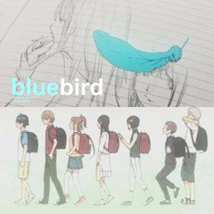 blue bird 148bpm