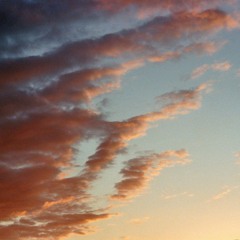 Sundayrecord - 01