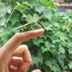 Algo De Cosas Buenas