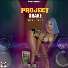 DJ DOTCOM PRESENTS PROJECT SHAKE DANCEHALL GYAL TAPE (EXPLICIT)💦