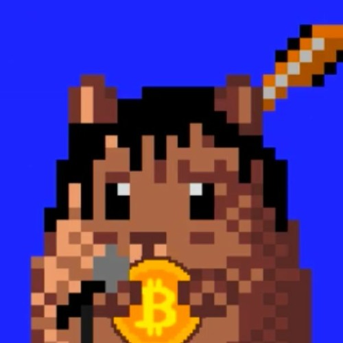 Cryptohamsters NFT Official Song