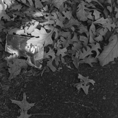 An Ode to Arlington National Cemetery and the Trash Highwayside Trash Thereabouts