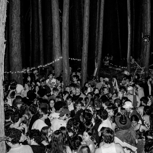 the grass is greener where we walk