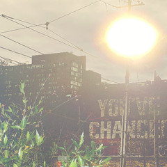 the light
