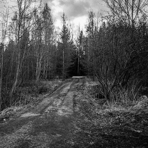 Vudu Sister -  Daughter Of The Woods (Kopophobia RMX) - 220bpm - Free DL