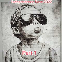 Matthias Steiner @ Independence Rave 2022 Part 1