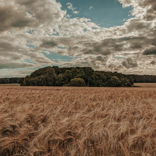 Farewell | Digitone Jam No. 2