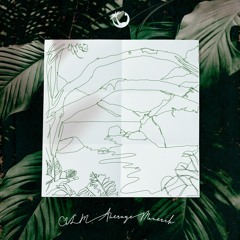 CVLM & Average Maverik - Loss Of Eden