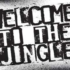 Function [AG-130 Bootleg Jungle/Break Edit]