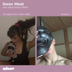 Swan Meat with YOUR SICKLY SPIRIT - 12 November 2020