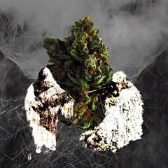 WHITE ASSES (prod. by junkroll)