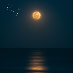 full moon (prod. nevrfall)