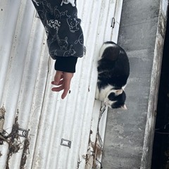 AZU DADA-Erika  Pakuri