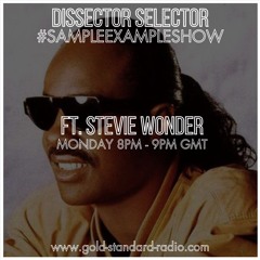 SAMPLE EXAMPLE SHOW ft. STEVIE WONDER