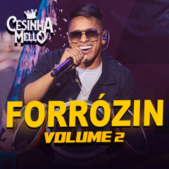 Só Lembro da Briga