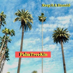 PalmTreeKin - Keep It A Hunnid