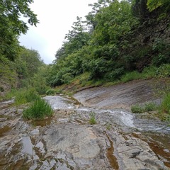 WATRFlow Active Murmur Of The Stream And Birds