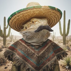 Rogue Planet - Sombrero Dragonero