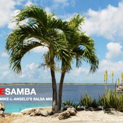 Junior Jack - E Samba (Mike - L- Angelo's Salsa Mix)