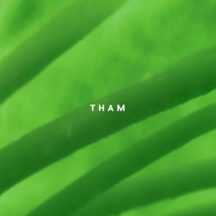 Tham - Lebendig | Intercell October Series