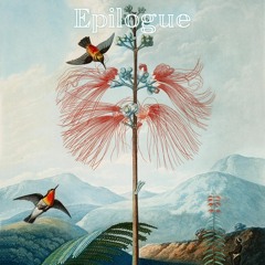 Epilogue (naviarhaiku522)